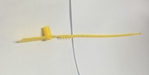 seal đốt trúc lớn