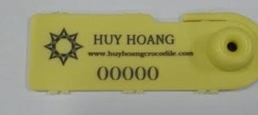 huy hoang in