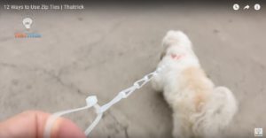 Dây rút nhựa làm dây xích động vật