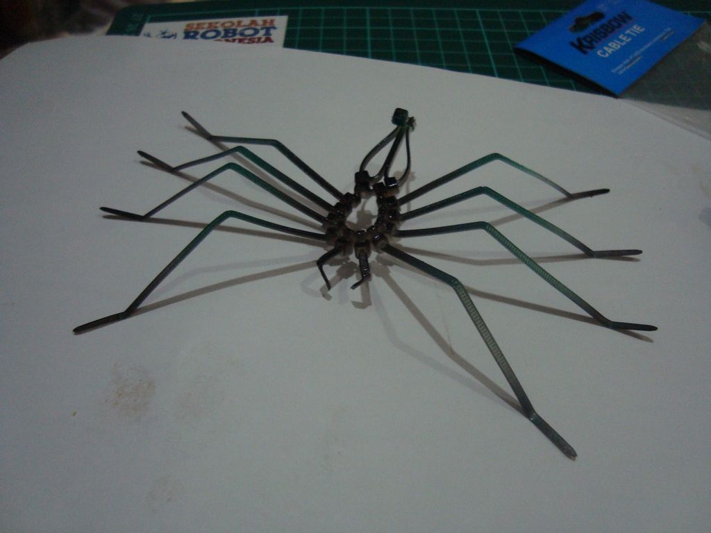 nhện dây rút nhựa 1
